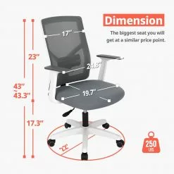 Neo Chair M-Series MK10 Gray (MS-M10-GY)