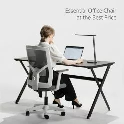Neo Chair M-Series MK10 Gray (MS-M10-GY)